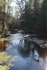 Ricketts Glen