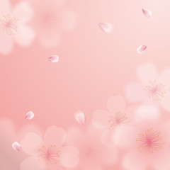 背景イラスト　桜