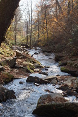 Ricketts Glen