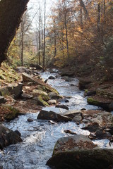 Ricketts Glen