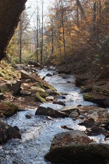Ricketts Glen