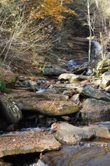 Ricketts Glen