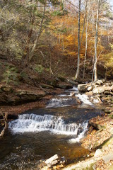 Ricketts Glen