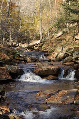 Ricketts Glen