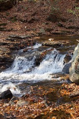 Ricketts Glen