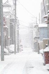 Obraz premium Winter