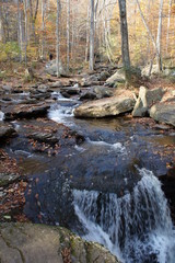 Ricketts Glen