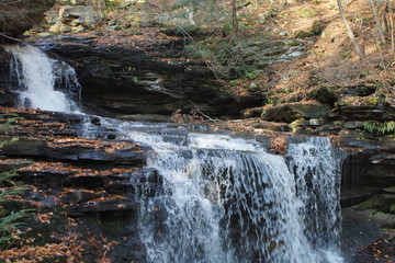 Ricketts Glen
