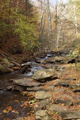 Ricketts Glen