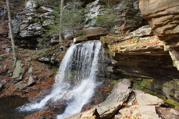 Obraz premium Ricketts Glen