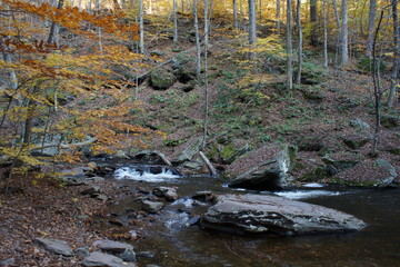 Ricketts Glen