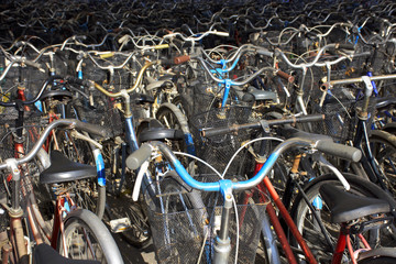 Many old bicycle in the shed