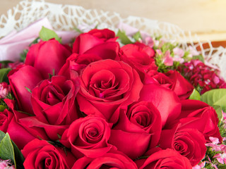 red rose background ,natural texture