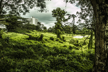 Obraz premium Abandoned apartment complex