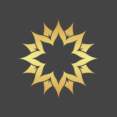 Abstract element for design, gold star, decoration.