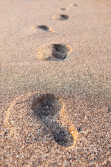 Footprints in the sand at sunset