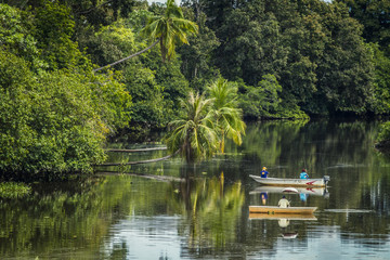 Fishing boats on a jungle river