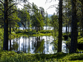 Fototapete bei efototapeten.de bestellen   