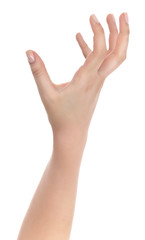 Stretched hand of woman isolated over white background. Open palm hand gesture of woman hand. Close up of open palm isolated over white background.