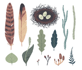 Natural decorative elements. Botanical illustrations. Vector clip art.