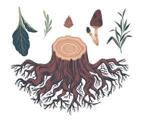 Natural decorative elements. Botanical illustrations. Vector clip art.