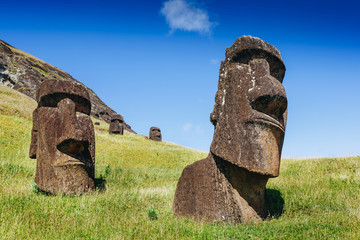 Moai statues in the Rano Raraku Volcano in Easter Island, Rapa Nui National Park, Chile - obrazy, fototapety, plakaty