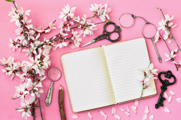 spring white cherry blossoms tree and open notebook