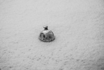 Fresh pomegranates on snow background