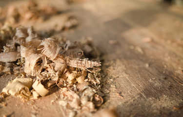 The carpenter was working furniture wood in studio , Soft-focus image