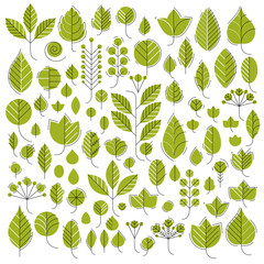 Vector illustration of green tree leaves isolated on white background. Set of simple drawn nature design elements, graphic symbols made in ecology theme.