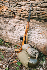 Soviet russian rifle of World War II leaning against trunk of tr