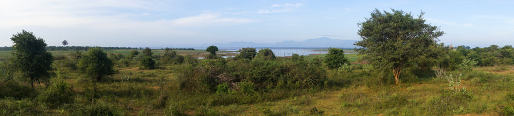 Fototapeta na wymiar Panorama du parc national d'Udawalawe, Sri Lanka