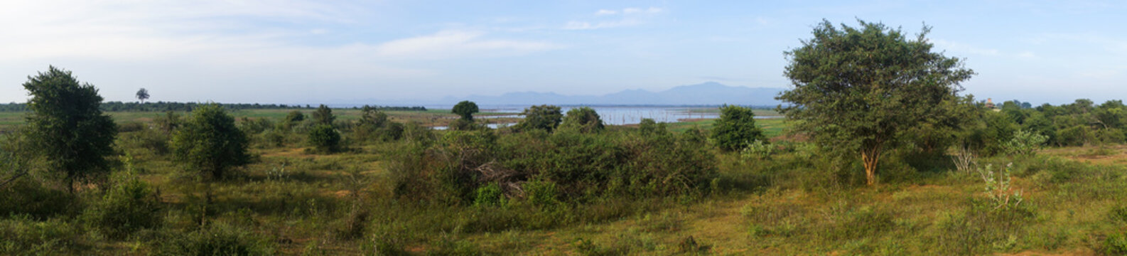Panorama du parc national d'Udawalawe, Sri Lanka