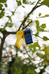 whistles