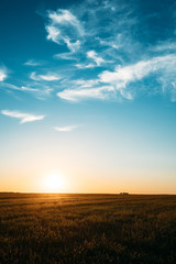 Sunset, Sunrise, Sun Over Rural Countryside Field. Bright Blue And Yellow