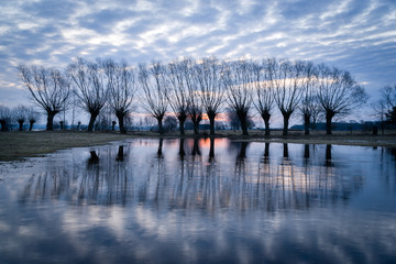 Poranek w Dolinie Narwi © podlaski49