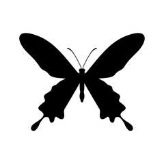 Butterfly, shade picture