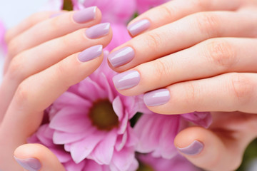 Fototapeta premium Hands of a woman with pink manicure on nails and pink flowers