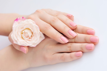 Hands of a woman with pink manicure on nails and roses