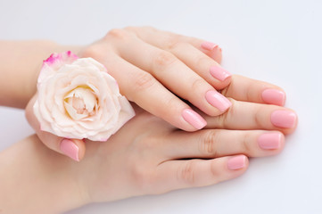 Obraz na płótnie Canvas Hands of a woman with pink manicure on nails and roses