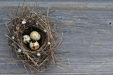 Naklejka na ściany i meble Bird nest decorated with flowers with three eggs inside on rustic wooden background with copy space