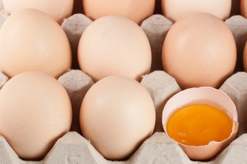 Eggs in the tray as a background