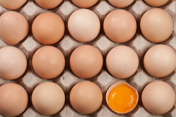 Eggs in the tray as a background. Top view