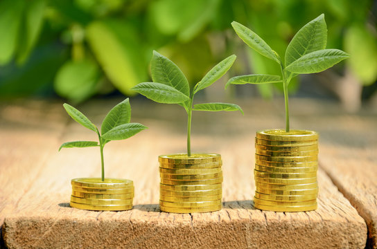 Investment, money, interest and financial concept.