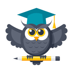 Wisdom concept with owl in graduation cap