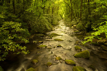 Peaceful Stream