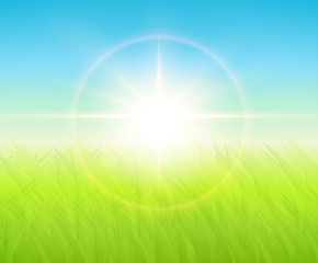 Fototapeta na wymiar Green background with sun