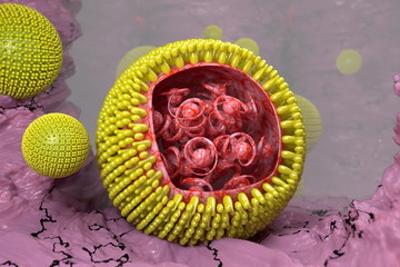 Hepatitis B virus HBV model 3D illustration