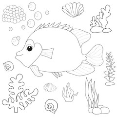  book coloring fish