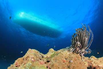 Scuba diving boat moored over coral reef
